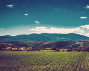 无限拨打短信软件